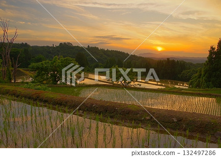 Sunset reflected in the rice paddies at Karikimata, Tokamachi City 132497286