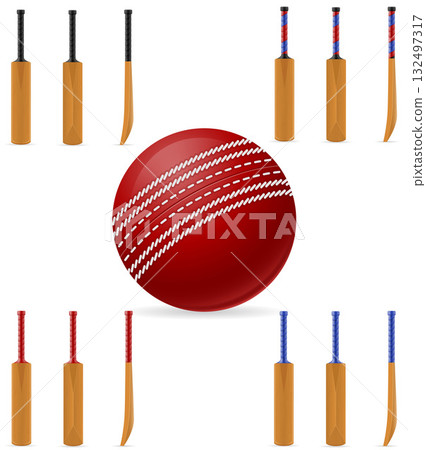 cricket bat and ball for a sports game cartoon stock vector illustration cricket bat and ball for a sports game cartoon stock vector illustration 132497317