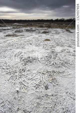 Saltpeter on the floor of a lagoon in a semi desert environment, La Pampa province, Patagonia, Argentina. Saltpeter on the floor of a lagoon in a semi desert environment, La Pampa province, Patagonia, Argentina. 132497404