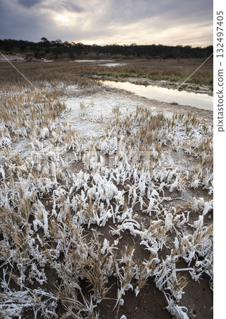 Saltpeter on the floor of a lagoon in a semi desert environment, La Pampa province, Patagonia, Argentina. 132497405