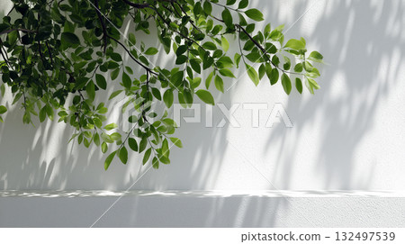 Soft shadows of natural green leaves reflected on white walls and shelves Soft shadows of natural green leaves reflected on white walls and shelves 132497539