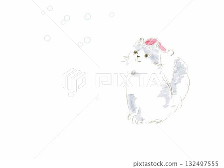 貓抬頭看著雪 132497555