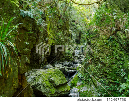Rocky area of Bonooreyama Rocky area of Bonooreyama 132497768
