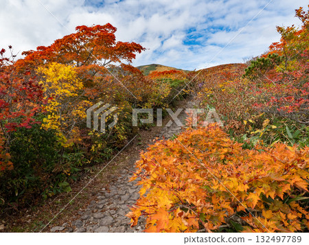 Autumn leaves of Mt. Kurikoma Autumn leaves of Mt. Kurikoma 132497789