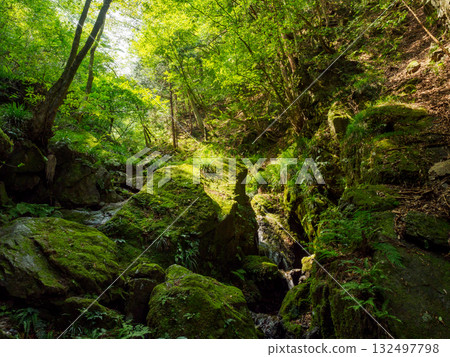 Rocky area of Bonooreyama Rocky area of Bonooreyama 132497798