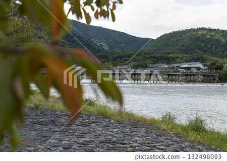 Leaves starting to change color and Togetsukyo Bridge 132498093