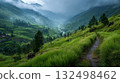 Stone Path Through Lush Green Rice Terraces in Mountains 132498462