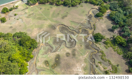 a Light Over Pui O Wetlands Hong Kong Oct 25 2025 132498530