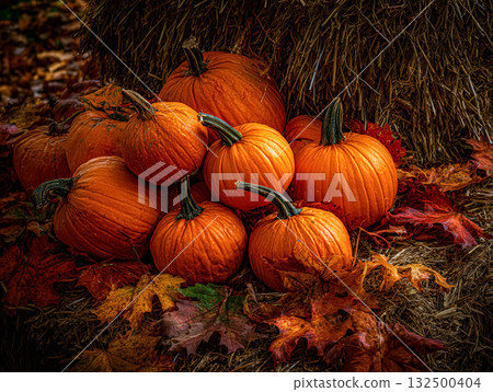 Vibrant orange pumpkins stacked on hay with colorful autumn leaves surrounding them 132500404
