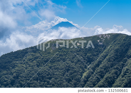 從雲海中的北嶽山肩眺望富士山。攀登南阿爾卑斯山的北岳 132500681