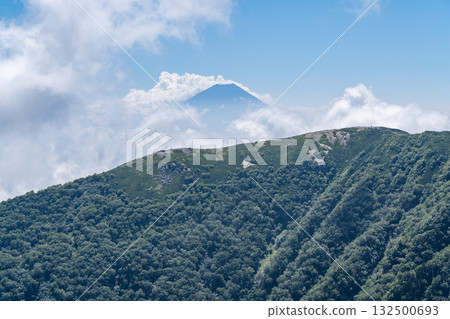 Mount Fuji seen from the shoulder of Mount Kitadake in the sea of clouds. Climbing Mount Kitadake in the Southern Alps Mount Fuji seen from the shoulder of Mount Kitadake in the sea of clouds. Climbing Mount Kitadake in the Southern Alps 132500693