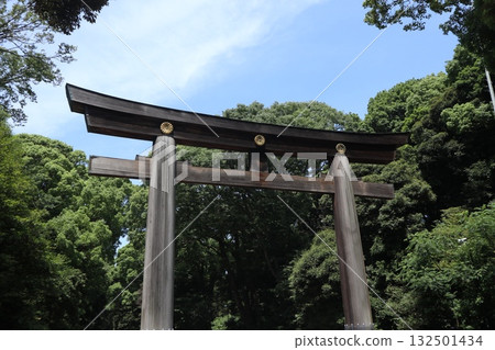 Meiji Shrine Torii Meiji Shrine Torii 132501434