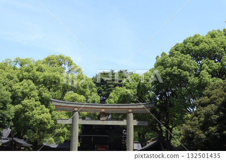 Meiji Shrine Torii Meiji Shrine Torii 132501435