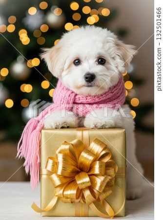 A cute Shiba Inu puppy sitting in a red Christmas gift box with a sparkling tree background A cute Shiba Inu puppy sitting in a red Christmas gift box with a sparkling tree background 132501466