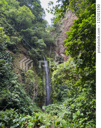 Beautiful waterfall flowing through lush green forest in nature Beautiful waterfall flowing through lush green forest in nature 132501590