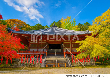 Daigoji Temple Kannon Hall Great Lecture Hall Autumn leaves 132501608