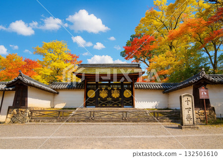 唐門、三寶院、醍醐寺、紅葉 132501610