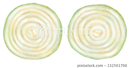 洋蔥切片橫斷面圖 洋蔥切片橫斷面圖 132501708