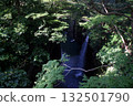 Takachiho Gorges · Masaki Falls 132501790