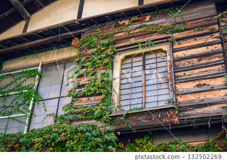 Ivy-covered Japanese house Ivy-covered Japanese house 132502269
