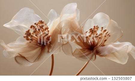 Cream soft fabric flowers 132503807