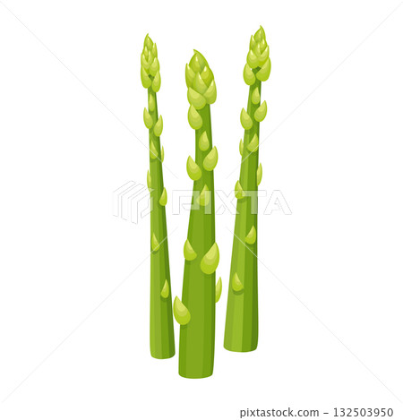 Green asparagus spears standing, fresh raw vegetable food illustration 132503950