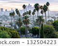 Los Angeles skyline and downtown with palm trees at sunset in California United States 132504223