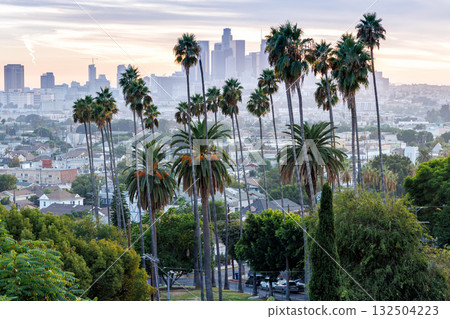 Los Angeles skyline and downtown with palm trees at sunset in California United States Los Angeles skyline and downtown with palm trees at sunset in California United States 132504223