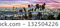 Los Angeles skyline and downtown with palm trees panorama at sunset in California United States 132504226