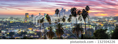Los Angeles skyline and downtown with palm trees panorama at sunset in California United States Los Angeles skyline and downtown with palm trees panorama at sunset in California United States 132504226
