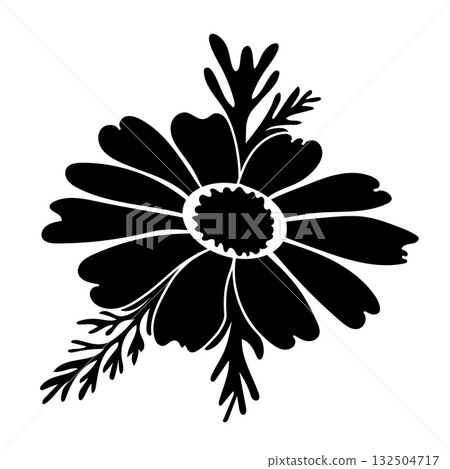 Black silhouette of chamomile flower with leaves on white Black silhouette of chamomile flower with leaves on white 132504717