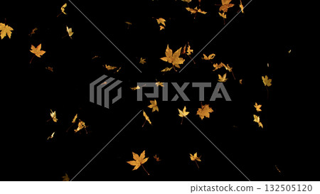 Falling Autumn Leaves. Autumn Texture Isolated on Black 132505120