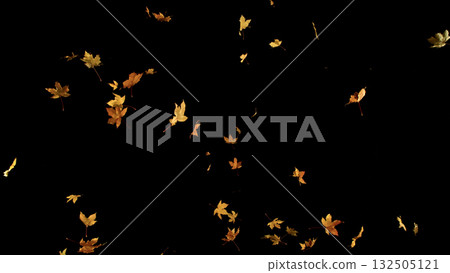 Falling Autumn Leaves. Autumn Texture Isolated on Black 132505121