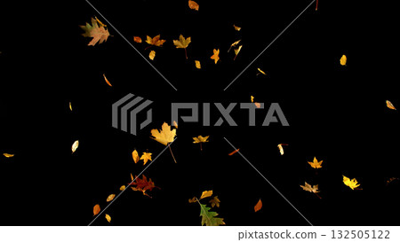 Falling Autumn Leaves. Autumn Texture Isolated on Black 132505122