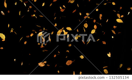 Falling Autumn Leaves. Autumn Texture Isolated on Black 132505134