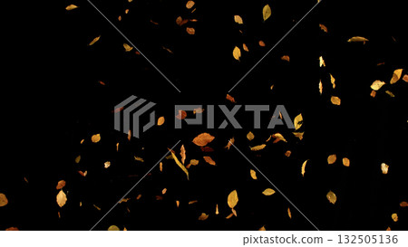 Falling Autumn Leaves. Autumn Texture Isolated on Black Falling Autumn Leaves. Autumn Texture Isolated on Black 132505136