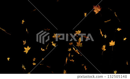 Falling Autumn Leaves. Autumn Texture Isolated on Black Falling Autumn Leaves. Autumn Texture Isolated on Black 132505148