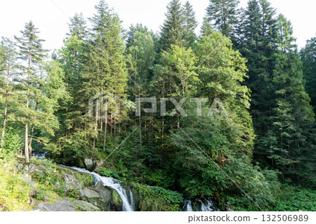 Mountain waterfall in the forest. Green nature. 132506989