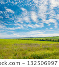 Beautiful summer field with bright flowers and blue sky with fluffy clouds. 132506997