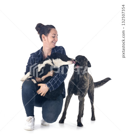 dogs and woman dogs and woman 132507354