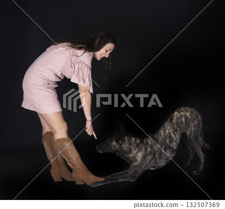 Dutch Shepherd and woman in studio 132507369