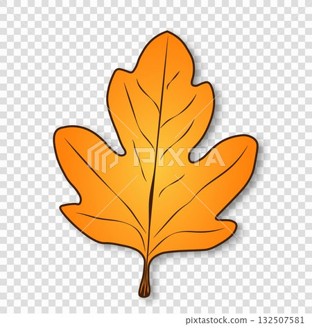 Autumn orange-yellow fallen leaf with veins and shadow on a transparent background. 132507581