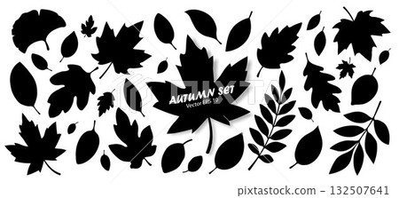 A set of silhouettes of autumn leaves of different shapes in black on a white background. 132507641