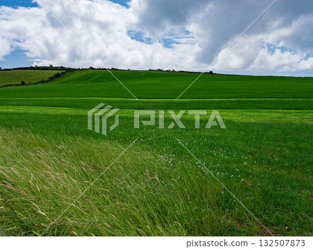 Lush green fields stretch out under cloudy skies. Lush green fields stretch out under cloudy skies. 132507873