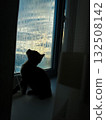 cat looking out the window 132508142