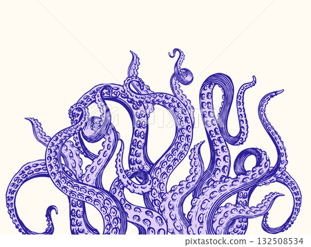 Octopus or Kraken tentacles background. Engraved hand drawn in old sketch, vintage sea monster Octopus or Kraken tentacles background. Engraved hand drawn in old sketch, vintage sea monster 132508534