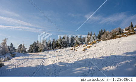 Ski tracks meander through the snow-covered landscape of the Jizera Mountains. The scene captures coniferous trees and boulders under a clear blue sky, creating a perfect winter day for skiing. Ski tracks meander through the snow-covered landscape of the Jizera Mountains. The scene captures coniferous trees and boulders under a clear blue sky, creating a perfect winter day for skiing. 132508661
