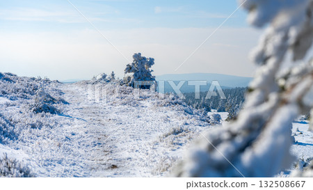 Snow covers the trails and trees in the Jizera Mountains during winter. The scene is peaceful, with a clear sky and distant hills visible in the background. A perfect winter day for nature lovers. Snow covers the trails and trees in the Jizera Mountains during winter. The scene is peaceful, with a clear sky and distant hills visible in the background. A perfect winter day for nature lovers. 132508667