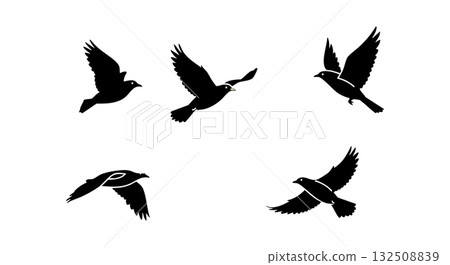 Flying bird silhouettes in various poses black vector illustration Flying bird silhouettes in various poses black vector illustration 132508839