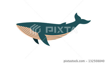 Blue whale vector illustration in simple flat style ocean animal design 132508840